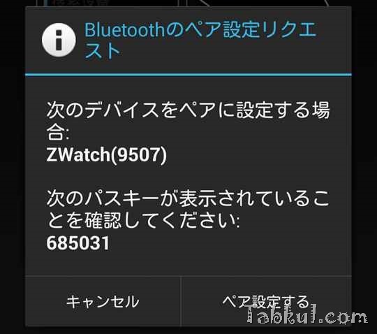 2014-01-22 14.34.45-SmartQ-ZWatch-Tabkul.com-review