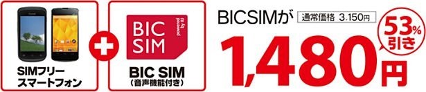 BIC-SIM-Voice-03