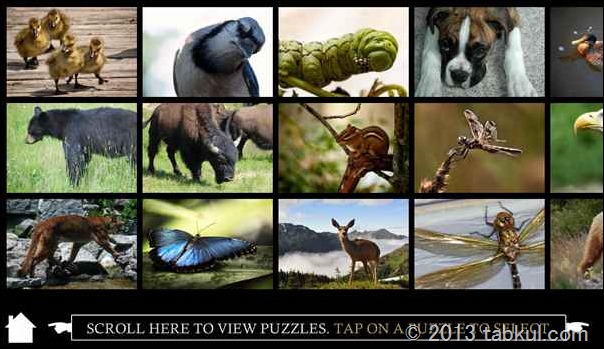 通常99円のAndroid アプリ「Premium Puzzle Gallery – Animals」の使用レビュー