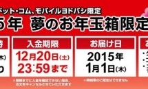 ヨドバシカメラ福袋「2015年 夢のお年玉箱限定販売」、本日9時より予約開始