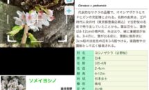 通常860円が0円に、オフライン対応『花しらべ 花認識/花検索』などiOSアプリ値下げ中 2026/08/31