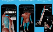 通常2600円が全て100円に、3D人体模型シリーズ『筋肉とキネシオロジー』などAndroidアプリ値下げセール 2022/11/24