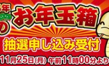 まもなくヨドバシ.comで「2025年 夢のお年玉箱」抽選受付スタート