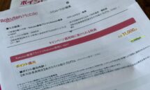 （MNP弾の作り方）楽天モバイルの社員紹介キャンペーンを利用した契約レビュー、維持費と抜け道
