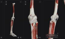通常1500円が1000円に、久々の生体・解剖系セール『Knee Biomechanics』などiOSアプリ値下げ中 2026/03/27