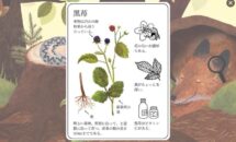 通常800円が500円に、素敵な世界観で自然に触れる『鼠ちゃんの百科事典』などiOSアプリ値下げ中 2026/06/10