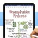 通常960円のiOSノート『GoodNotes 5』が無料に、アップグレードバンドル配布中