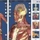 通常370円が120円に、3D人体模型『3D Anatomy』などiOSアプリ値下げ中 2022/09/30