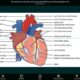 通常150円が0円に、Mac/iPad対応のアナトミー・解剖学パズル『Anatomy Puzzles』などiOSアプリ値下げ中 2025/01/11